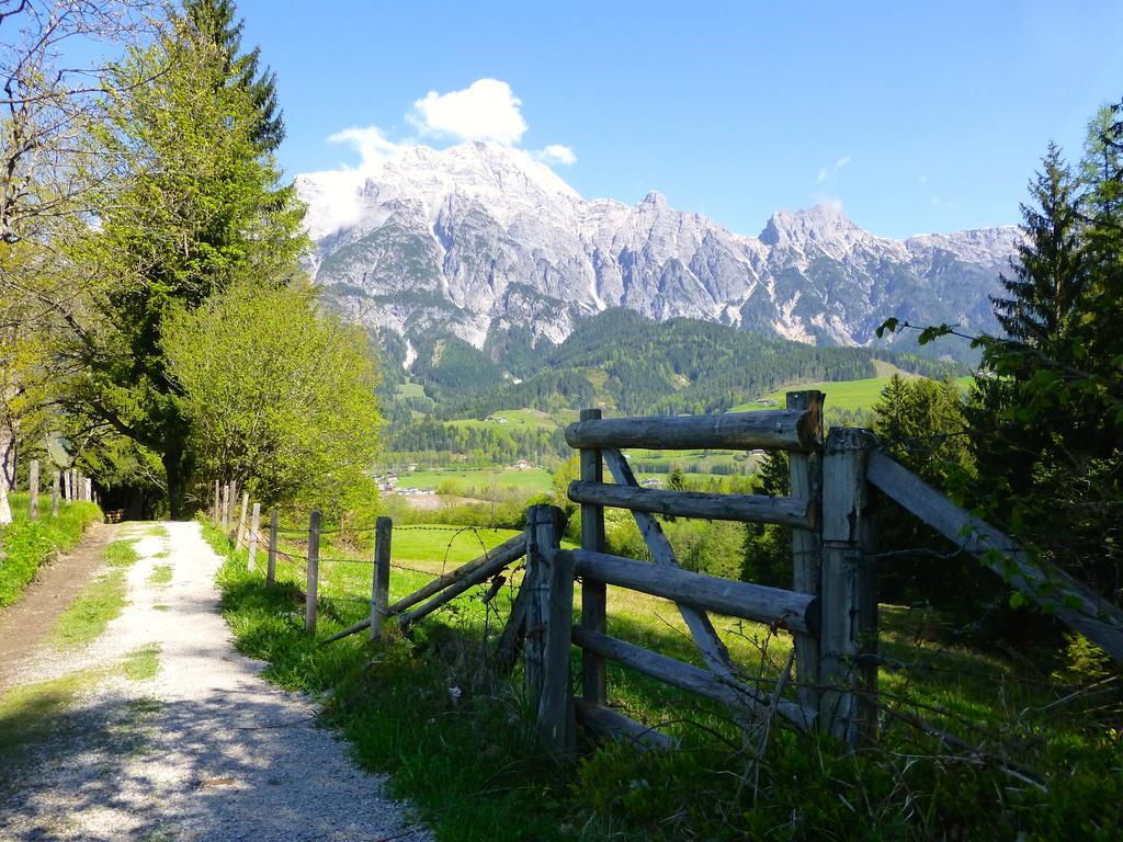 Alpin Lodge Leogang By Alpin Rentals Phòng bức ảnh