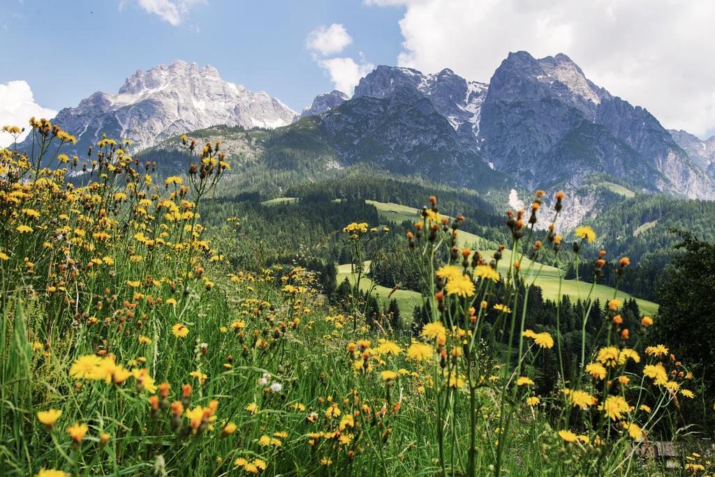 Alpin Lodge Leogang By Alpin Rentals Ngoại thất bức ảnh